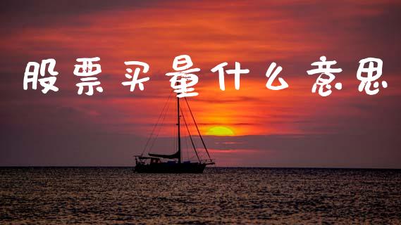 股票买量什么意思_https://wap.lcpcjs.com_外汇市场_第1张