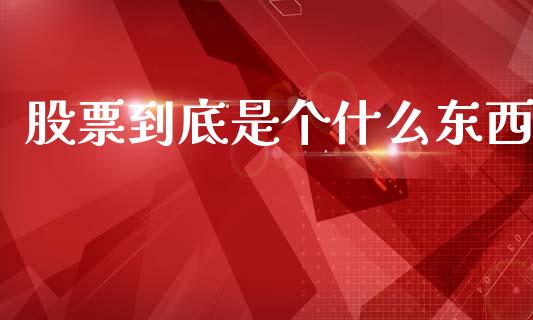 股票到底是个什么东西_https://wap.lcpcjs.com_股港行情_第1张