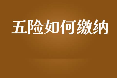 五险如何缴纳_https://wap.lcpcjs.com_全球经济_第1张