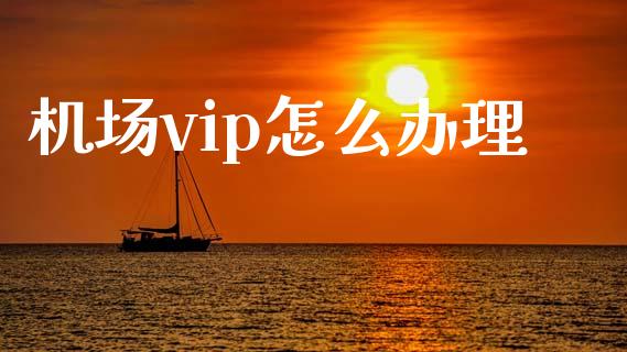 机场vip怎么办理_https://wap.lcpcjs.com_美股行情_第1张