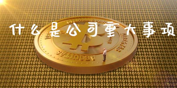 什么是公司重大事项_https://wap.lcpcjs.com_美股行情_第1张