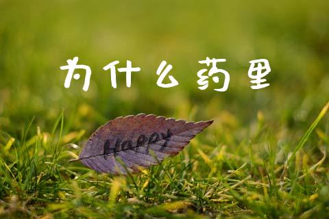 为什么药里_https://wap.lcpcjs.com_美股行情_第1张