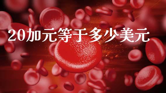 20加元等于多少美元_https://wap.lcpcjs.com_股港行情_第1张