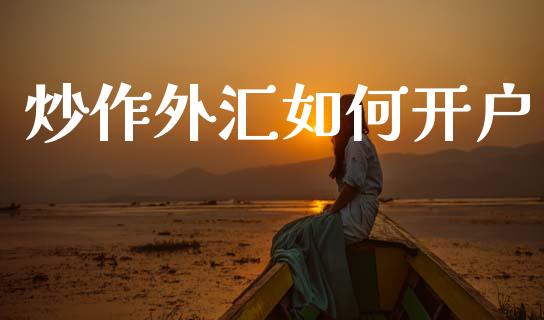 炒作外汇如何开户_https://wap.lcpcjs.com_外汇市场_第1张