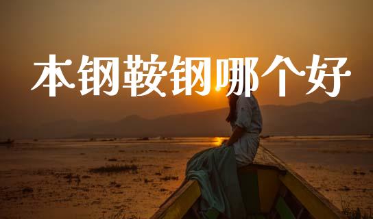 本钢鞍钢哪个好_https://wap.lcpcjs.com_外汇市场_第1张