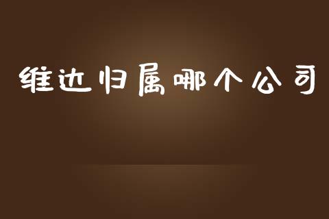 维达归属哪个公司_https://wap.lcpcjs.com_全球经济_第1张