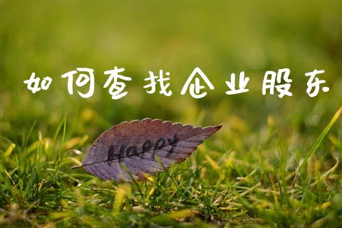 如何查找企业股东_https://wap.lcpcjs.com_股港行情_第1张