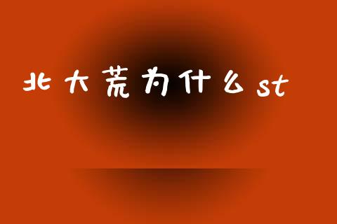 北大荒为什么st_https://wap.lcpcjs.com_全球经济_第1张