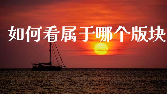 如何看属于哪个版块_https://wap.lcpcjs.com_美股行情_第1张