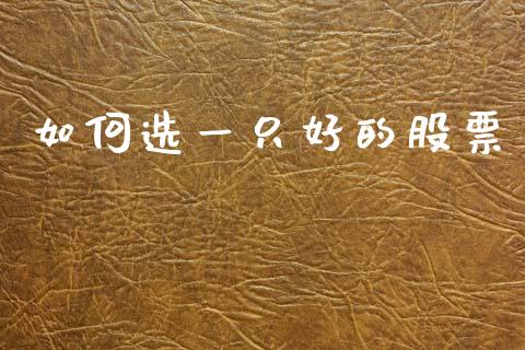 如何选一只好的股票_https://wap.lcpcjs.com_美股行情_第1张
