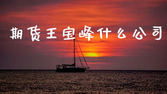期货王宝峰什么公司_https://wap.lcpcjs.com_股港行情_第1张