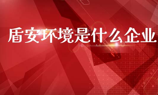 盾安环境是什么企业_https://wap.lcpcjs.com_全球经济_第1张