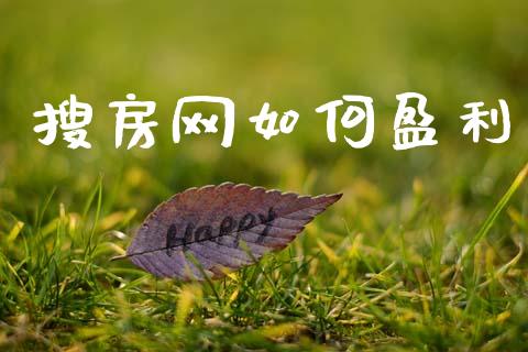 搜房网如何盈利_https://wap.lcpcjs.com_股港行情_第1张