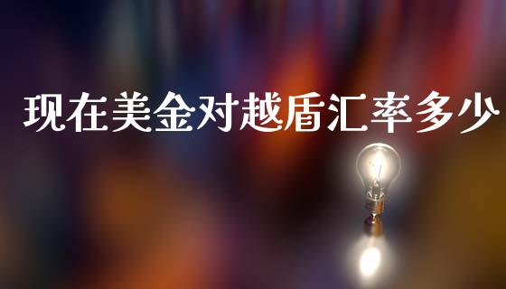 现在美金对越盾汇率多少_https://wap.lcpcjs.com_股港行情_第1张
