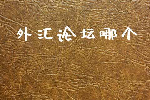 外汇论坛哪个_https://wap.lcpcjs.com_外汇市场_第1张