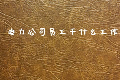 电力公司员工干什么工作_https://wap.lcpcjs.com_全球经济_第1张