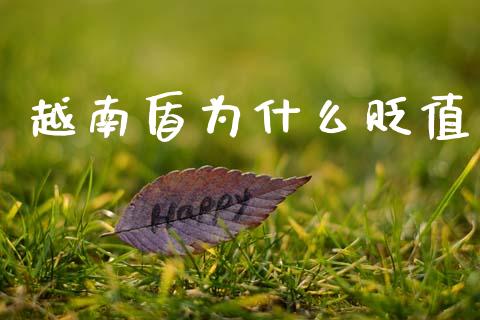越南盾为什么贬值_https://wap.lcpcjs.com_美股行情_第1张