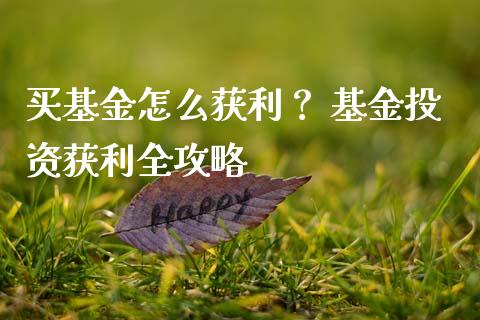 买基金怎么获利？ 基金投资获利全攻略_https://wap.lcpcjs.com_美股行情_第1张