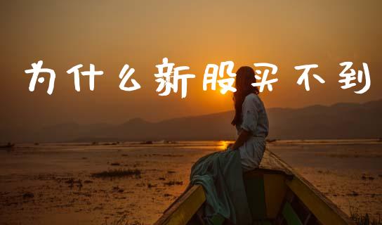 为什么新股买不到_https://wap.lcpcjs.com_外汇市场_第1张
