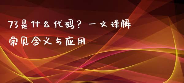 73是什么代码？一文详解常见含义与应用_https://wap.lcpcjs.com_股港行情_第1张