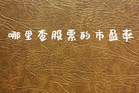 哪里查股票的市盈率_https://wap.lcpcjs.com_外汇市场_第1张