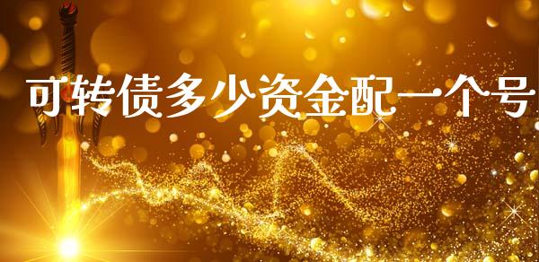 可转债多少资金配一个号_https://wap.lcpcjs.com_全球经济_第1张