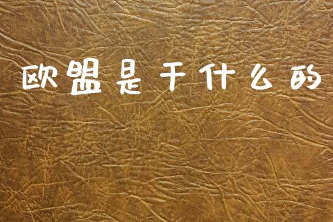 欧盟是干什么的_https://wap.lcpcjs.com_外汇市场_第1张