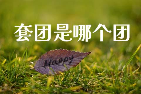 套团是哪个团_https://wap.lcpcjs.com_股港行情_第1张