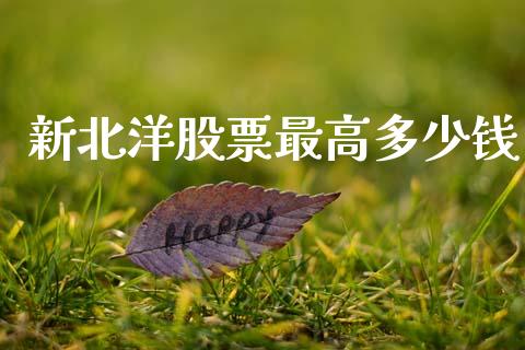 新北洋股票最高多少钱_https://wap.lcpcjs.com_股港行情_第1张
