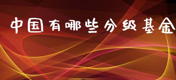 中国有哪些分级基金_https://wap.lcpcjs.com_外汇市场_第1张