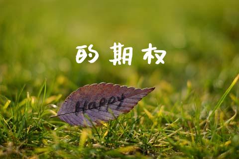 的期权_https://wap.lcpcjs.com_全球经济_第1张