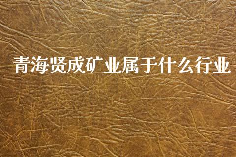 青海贤成矿业属于什么行业_https://wap.lcpcjs.com_外汇市场_第1张