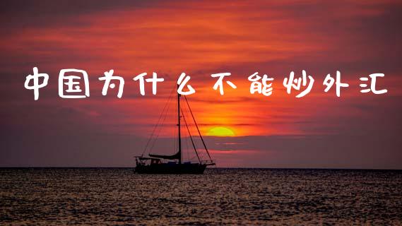 中国为什么不能炒外汇_https://wap.lcpcjs.com_全球经济_第1张