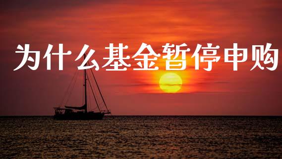 为什么基金暂停申购_https://wap.lcpcjs.com_外汇市场_第1张