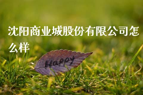 沈阳商业城股份有限公司怎么样_https://wap.lcpcjs.com_股港行情_第1张