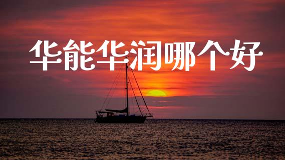 华能华润哪个好_https://wap.lcpcjs.com_股港行情_第1张
