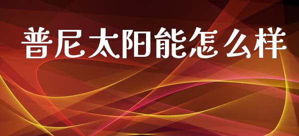 普尼太阳能怎么样_https://wap.lcpcjs.com_全球经济_第1张