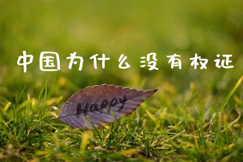 中国为什么没有权证_https://wap.lcpcjs.com_全球经济_第1张