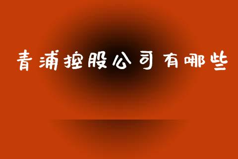 青浦控股公司有哪些_https://wap.lcpcjs.com_股港行情_第1张