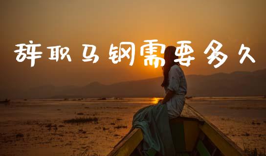 辞职马钢需要多久_https://wap.lcpcjs.com_全球经济_第1张