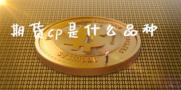 期货cp是什么品种_https://wap.lcpcjs.com_股港行情_第1张