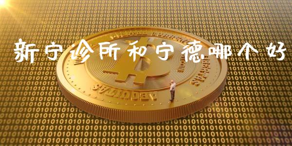 新宁诊所和宁德哪个好_https://wap.lcpcjs.com_全球经济_第1张