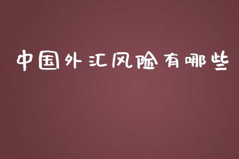 中国外汇风险有哪些_https://wap.lcpcjs.com_全球经济_第1张