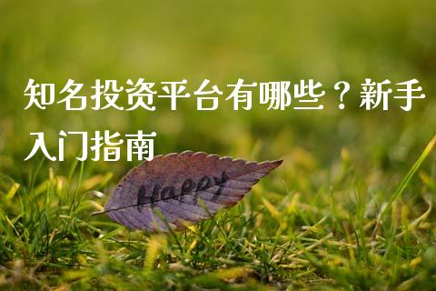 知名投资平台有哪些？新手入门指南_https://wap.lcpcjs.com_全球经济_第1张