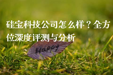 硅宝科技公司怎么样？全方位深度评测与分析_https://wap.lcpcjs.com_全球经济_第1张