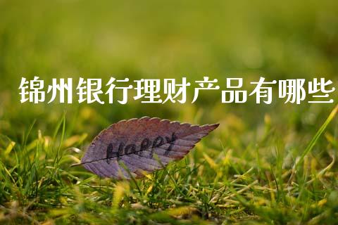 锦州银行理财产品有哪些_https://wap.lcpcjs.com_外汇市场_第1张
