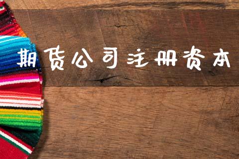 期货公司注册资本_https://wap.lcpcjs.com_股港行情_第1张