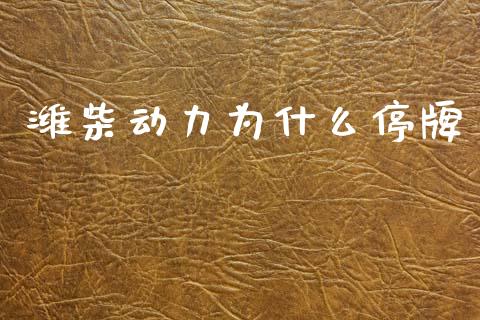潍柴动力为什么停牌_https://wap.lcpcjs.com_外汇市场_第1张
