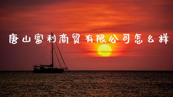 唐山富利商贸有限公司怎么样_https://wap.lcpcjs.com_股港行情_第1张