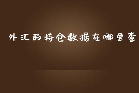 外汇的持仓数据在哪里查_https://wap.lcpcjs.com_外汇市场_第1张